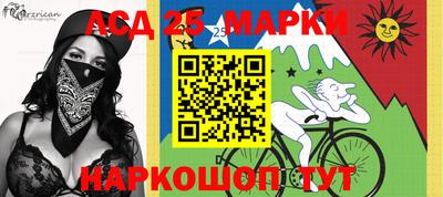 гашик Аргун