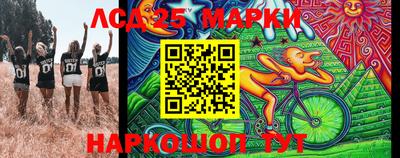 гашик Аргун