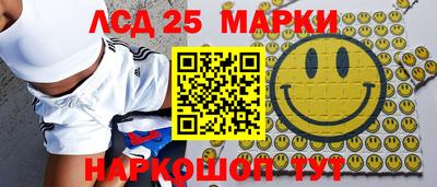 гашик Аргун