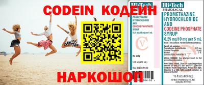 гашик Аргун