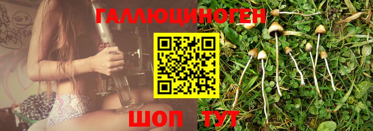 Галлюциногенные грибы ЛСД Сатка