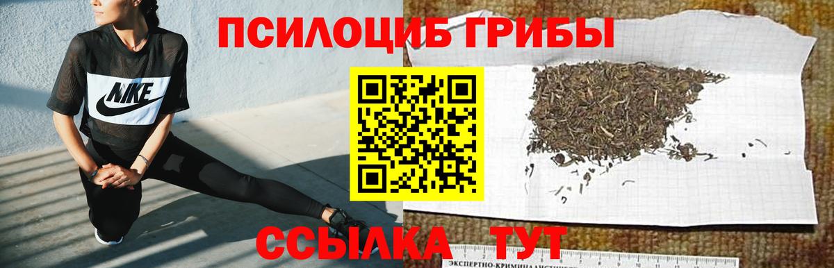 Псилоцибиновые грибы MAGIC MUSHROOMS Сатка